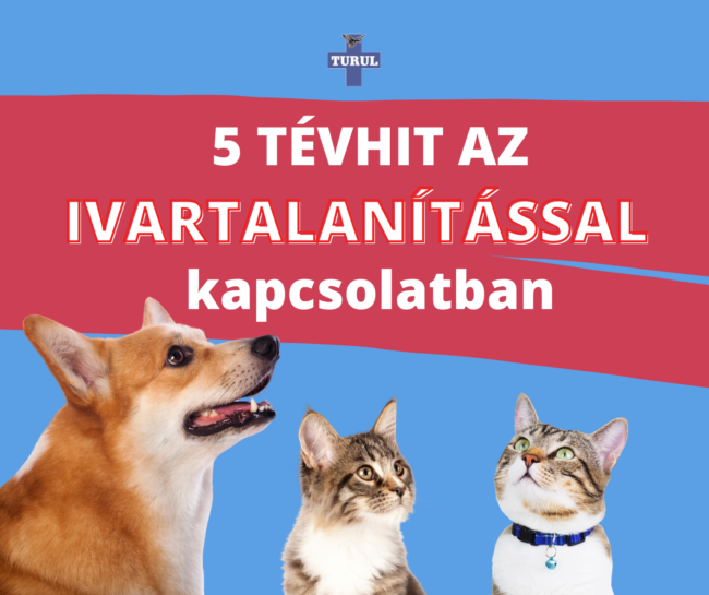 tévhit az ivartalanítással kapcsolatban
